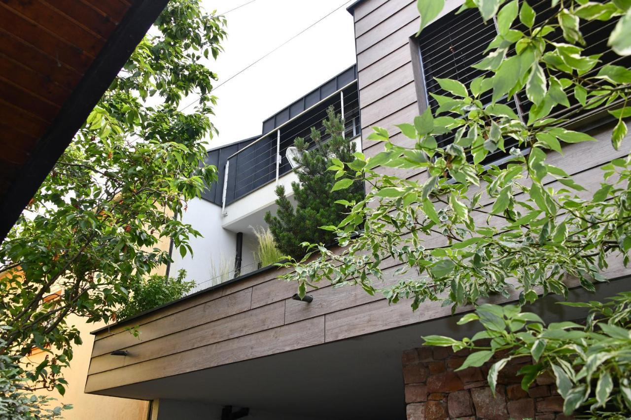 Gite Contemporain L'Hirondelle Guémar Exterior foto